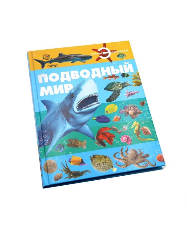 Подводный мир