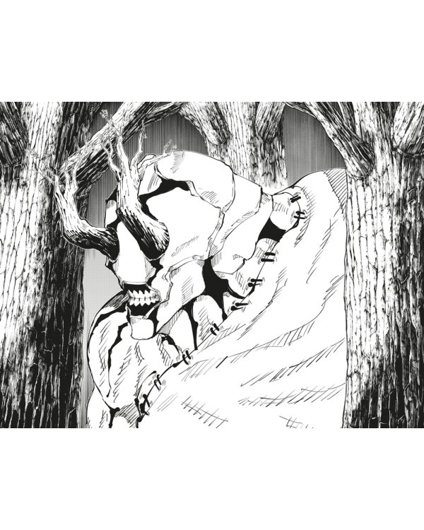 Магическая битва 3. Кн. 5-6: Командный бой. Черная вспышка: графические романы. Манга