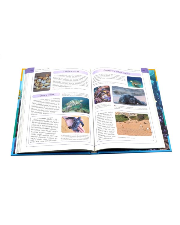 Подводный мир