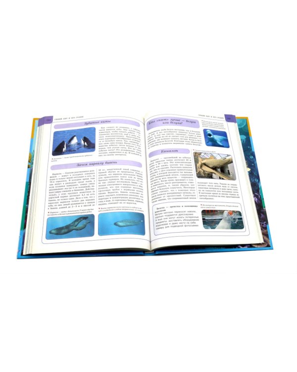 Подводный мир