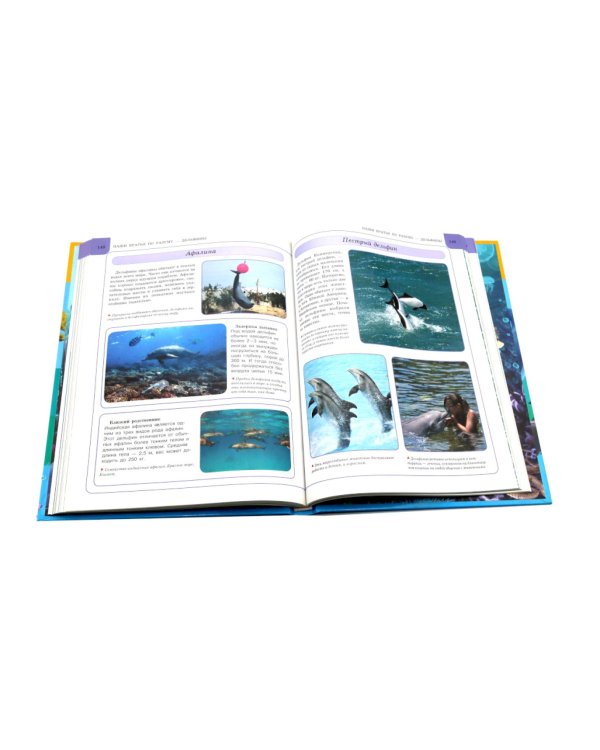 Подводный мир