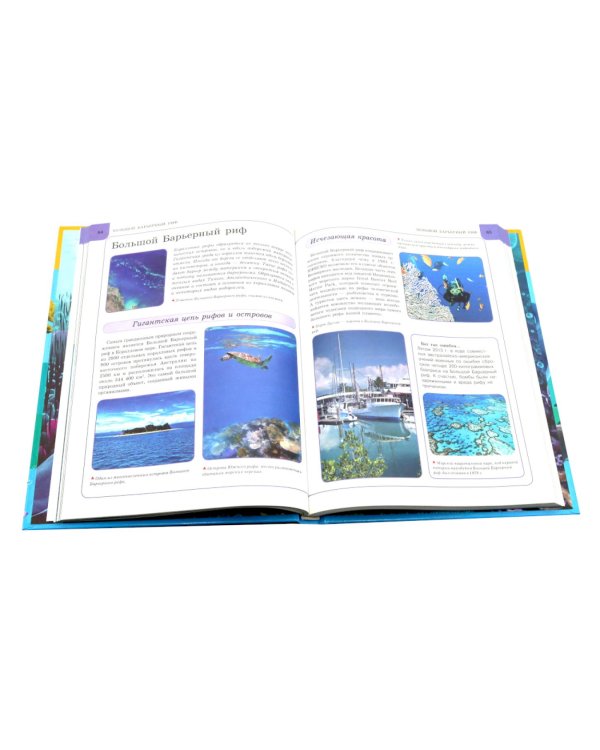 Подводный мир