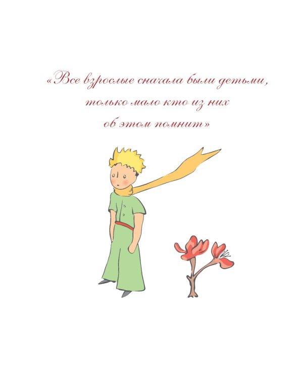 Французская вышивка крестом: Маленький принц. 30 удивительных дизайнов Вероник Анинер: по рисункам Антуана де Сент-Экзюпери