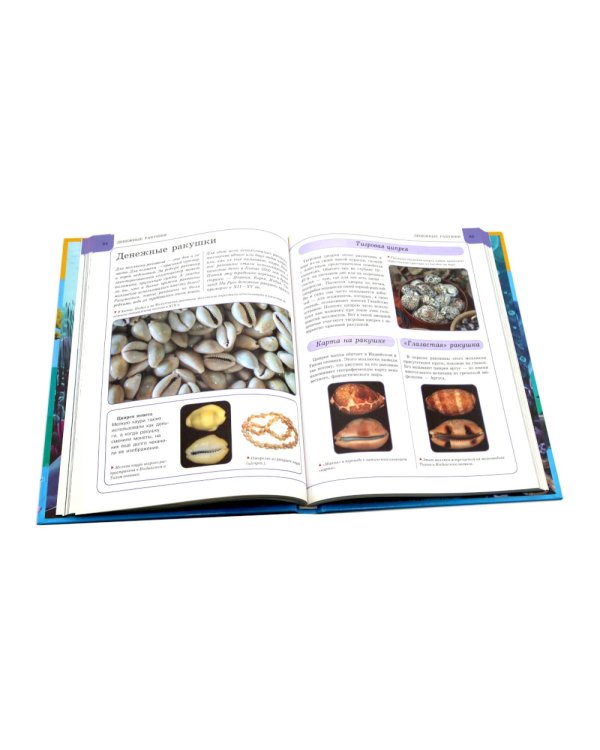 Подводный мир