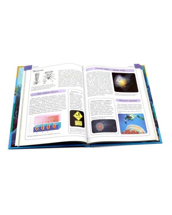 Подводный мир