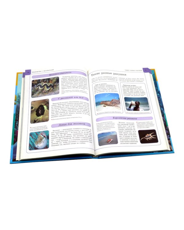 Подводный мир