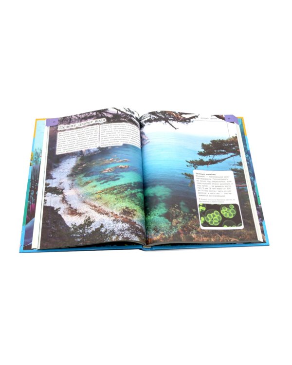 Подводный мир