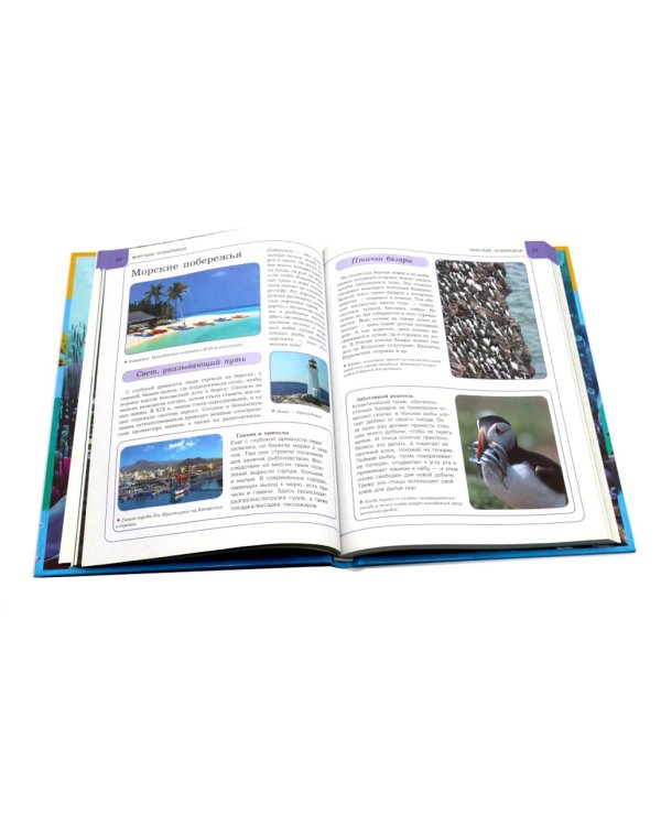 Подводный мир