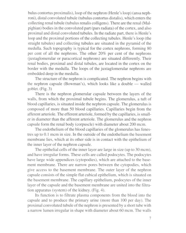 Анатомия человека. В 2 кн. Кн. 2. (на англ. языке): Учебное пособие. 2-е изд