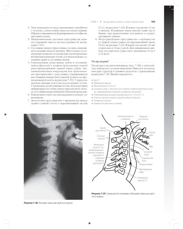 Лучевая диагностика в травматологии и ортопедии: клиническое руководство. В 2 ч. (обл.)