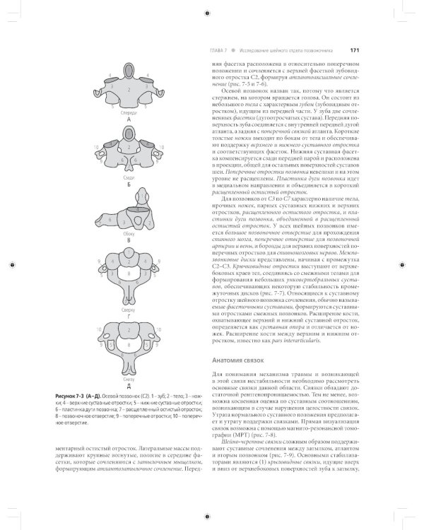 Лучевая диагностика в травматологии и ортопедии: клиническое руководство. В 2 ч. (обл.)