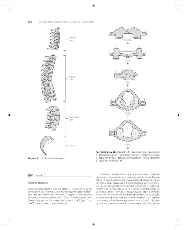 Лучевая диагностика в травматологии и ортопедии: клиническое руководство. В 2 ч. (обл.)