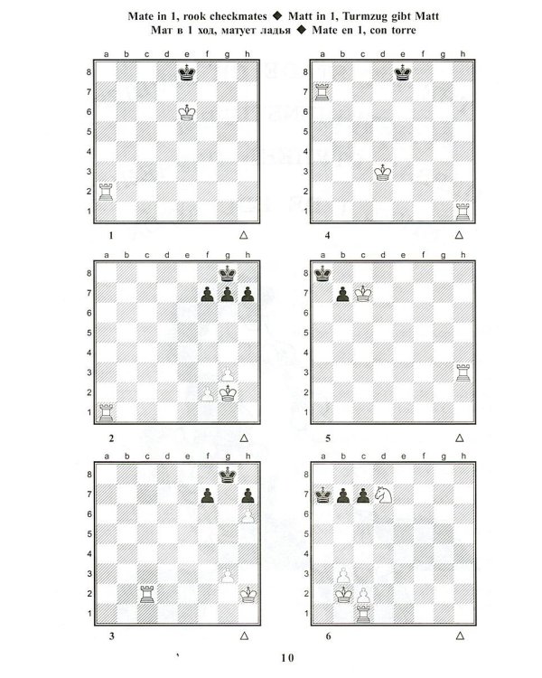 Учебник шахматных комбинаций. Т. 1