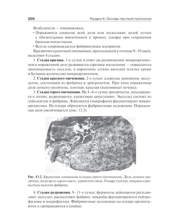 Основы патологии: учебник