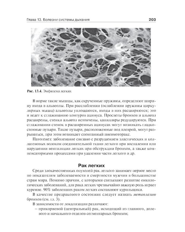 Основы патологии: учебник