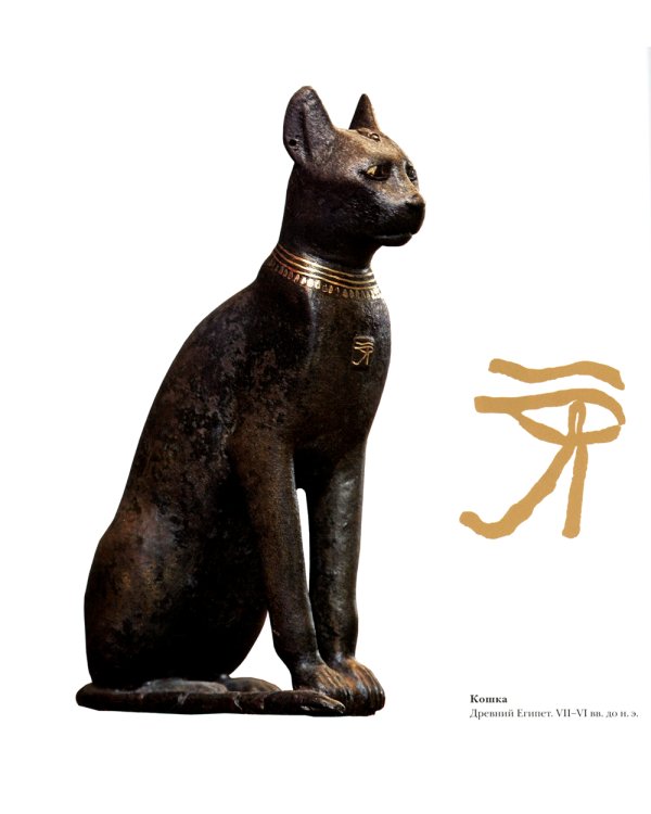 Кошкин дом в Эрмитаже