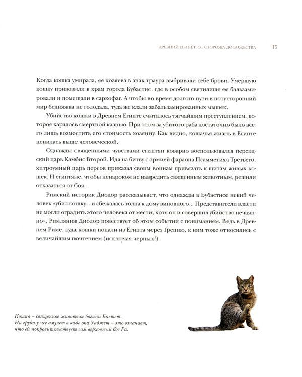 Кошкин дом в Эрмитаже