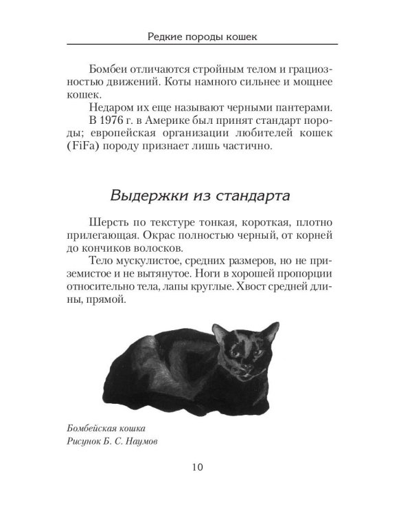 Редкие породы кошек