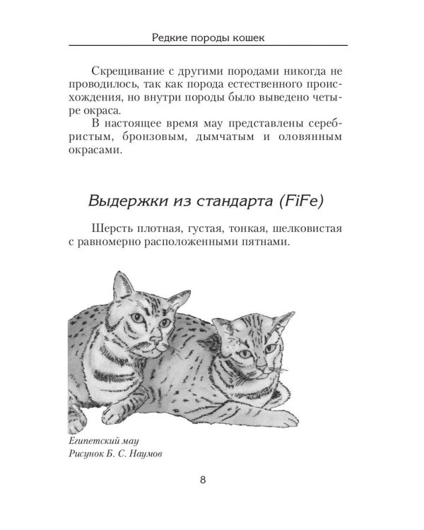 Редкие породы кошек