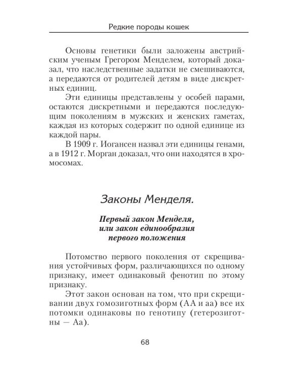 Редкие породы кошек