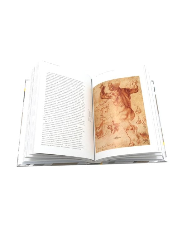 История искусства; Искусство и иллюзия. Исследование психологии изображения (комплект из 2-х книг)