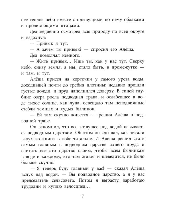 Маленький солдат: рассказы