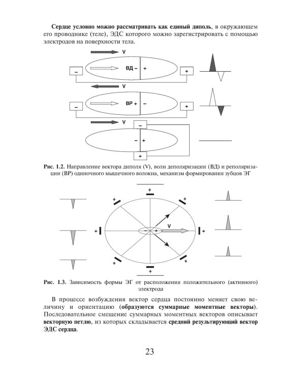 Электрокардиография. Практическое руководство-справочник для врачей. 3-е изд., перераб. и доп.