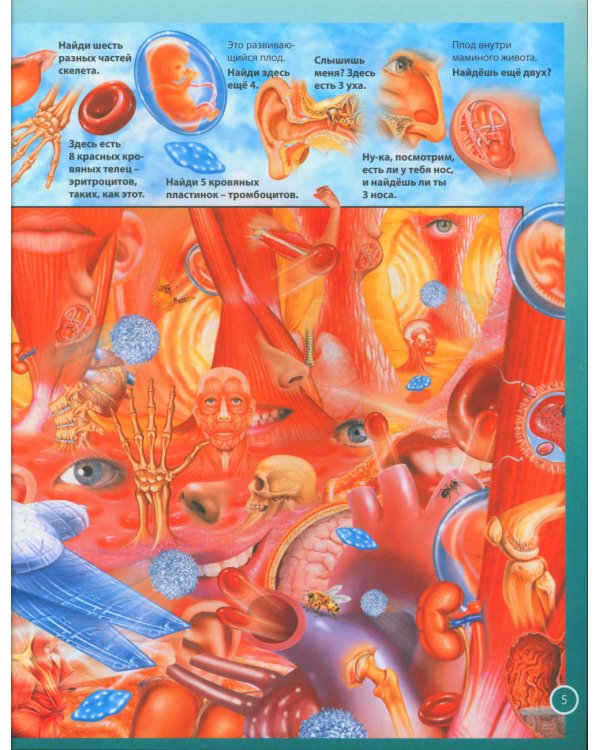 Анатомия человека для детей. Иллюстрированная энциклопедия