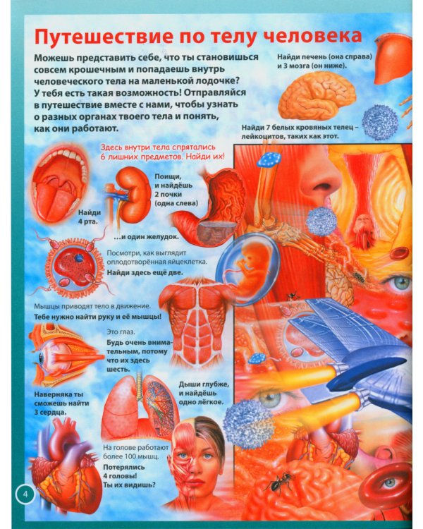 Анатомия человека для детей. Иллюстрированная энциклопедия