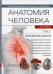 Анатомия человека. Атлас. В 3 т. Т. 2: Внутренние органы: Учебное пособие