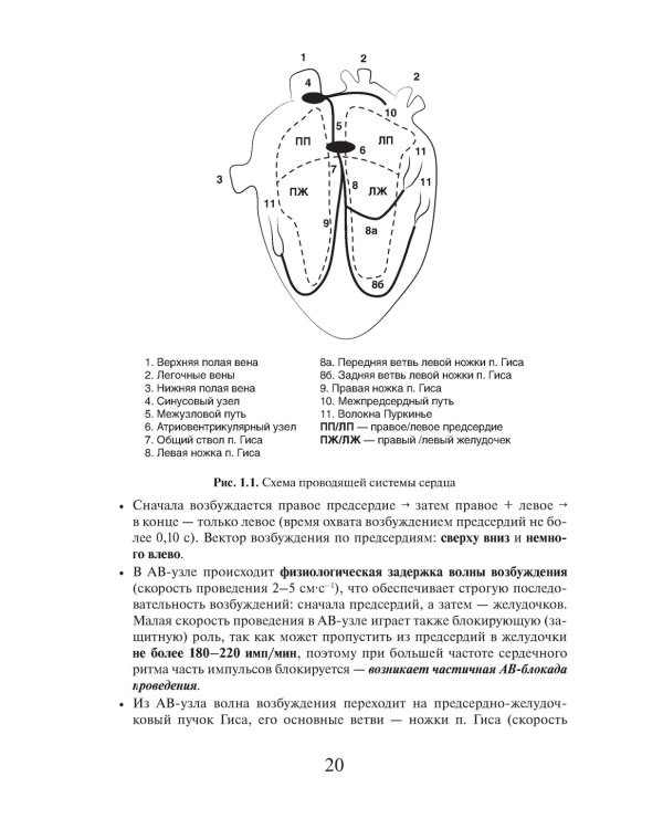 Электрокардиография. Практическое руководство-справочник для врачей. 3-е изд., перераб. и доп.