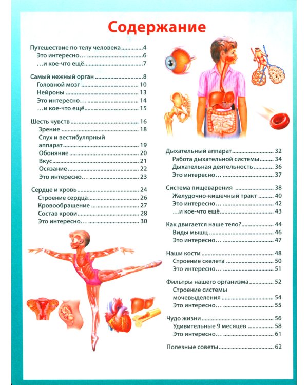 Анатомия человека для детей. Иллюстрированная энциклопедия