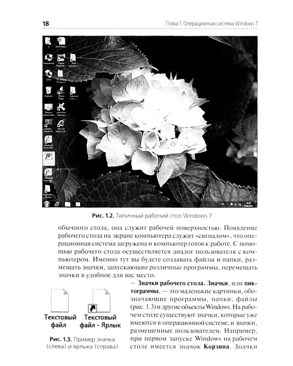 Информационные технологии в профессиональной деятельности: практикум