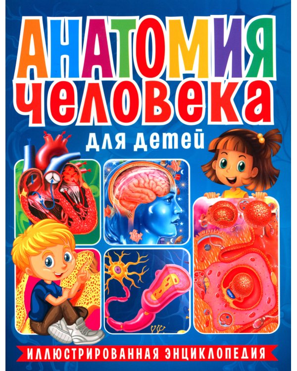 Анатомия человека для детей. Иллюстрированная энциклопедия