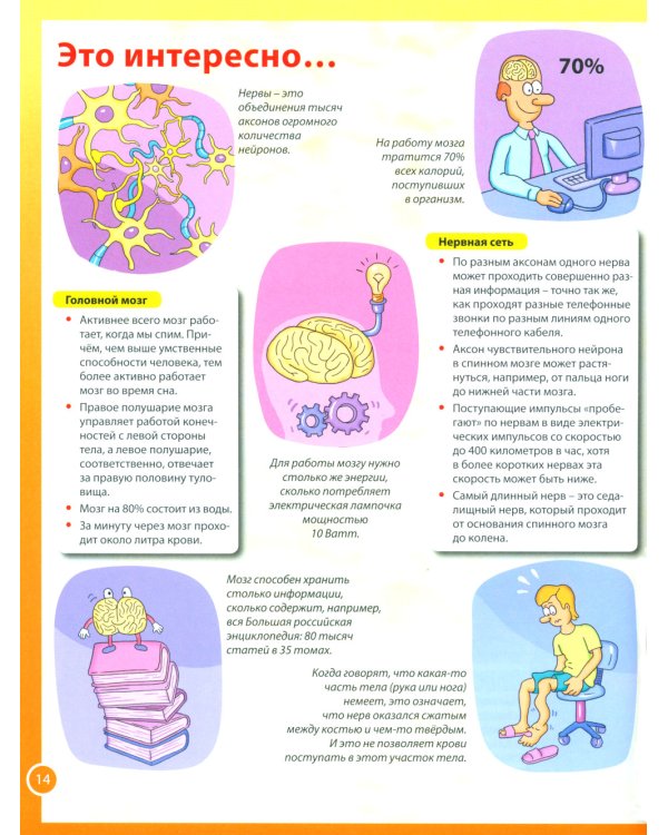 Анатомия человека для детей. Иллюстрированная энциклопедия