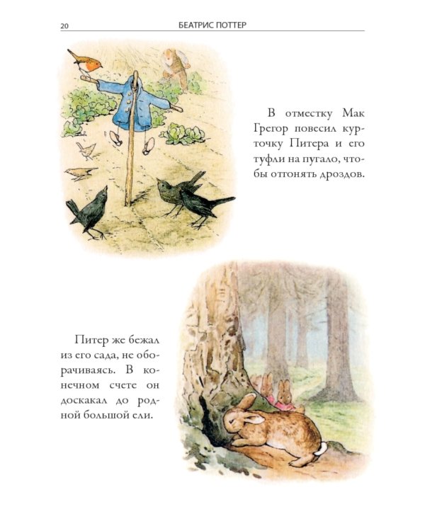 Все сказки о кролике Питере