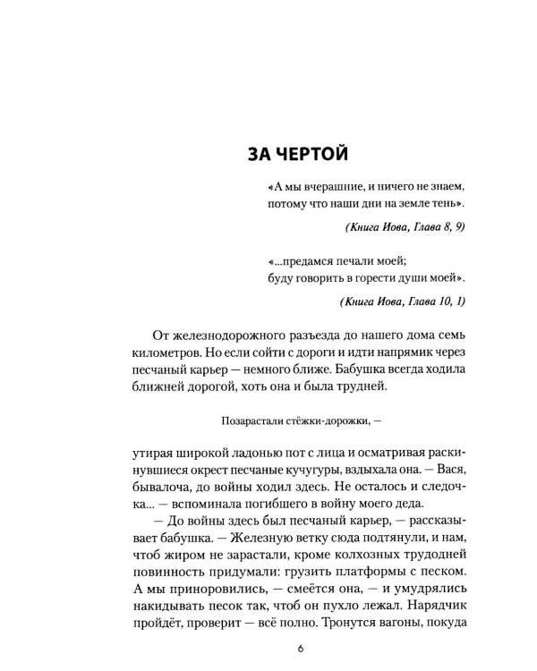 За чертой: роман