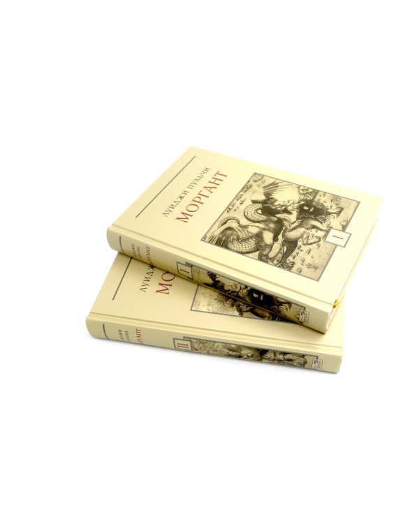 Моргант: Рыцарская поэма в двадцати восьми песнях: В 2 т