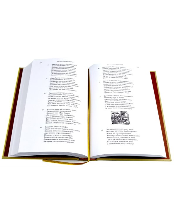 Моргант: Рыцарская поэма в двадцати восьми песнях: В 2 т