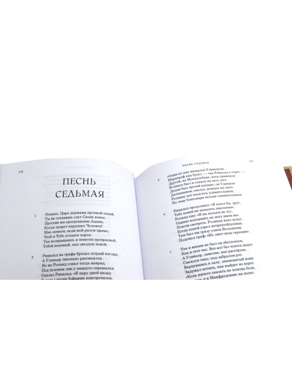 Моргант: Рыцарская поэма в двадцати восьми песнях: В 2 т