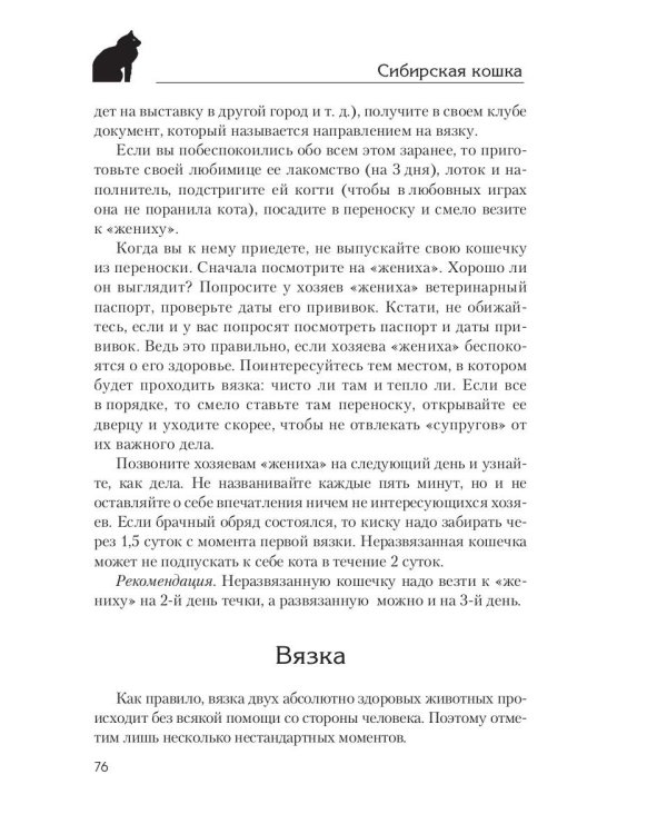 Сибирская кошка