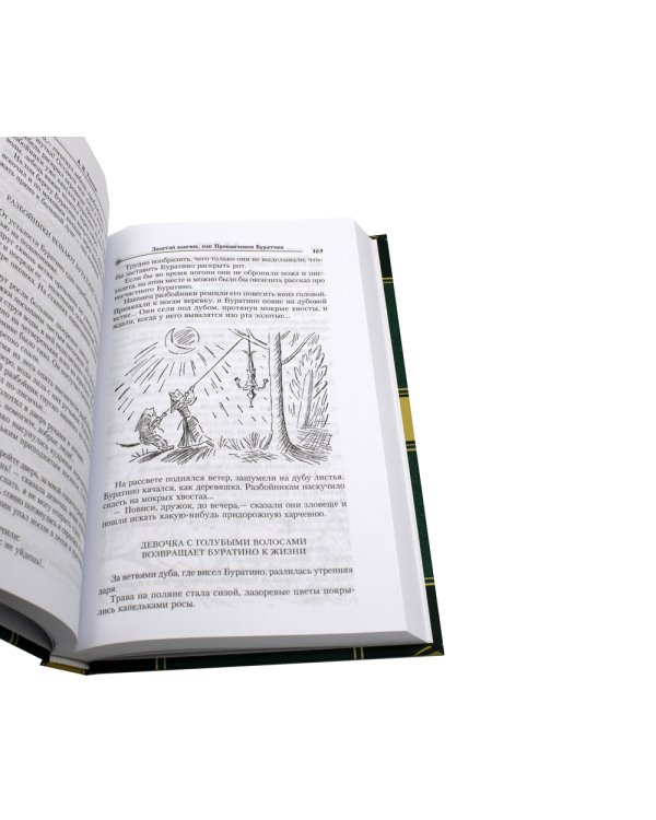 Сказки русских писателей. Подарок феи