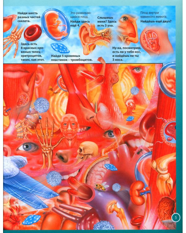 Анатомия человека. Книга для мальчиков и девочек