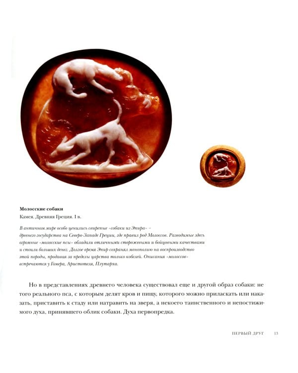 Боги, люди, собаки