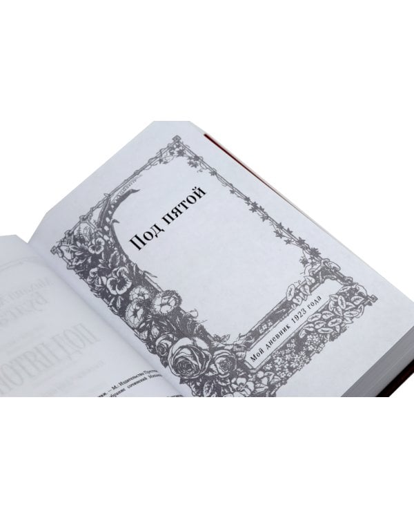 Театральный роман; Под пятой