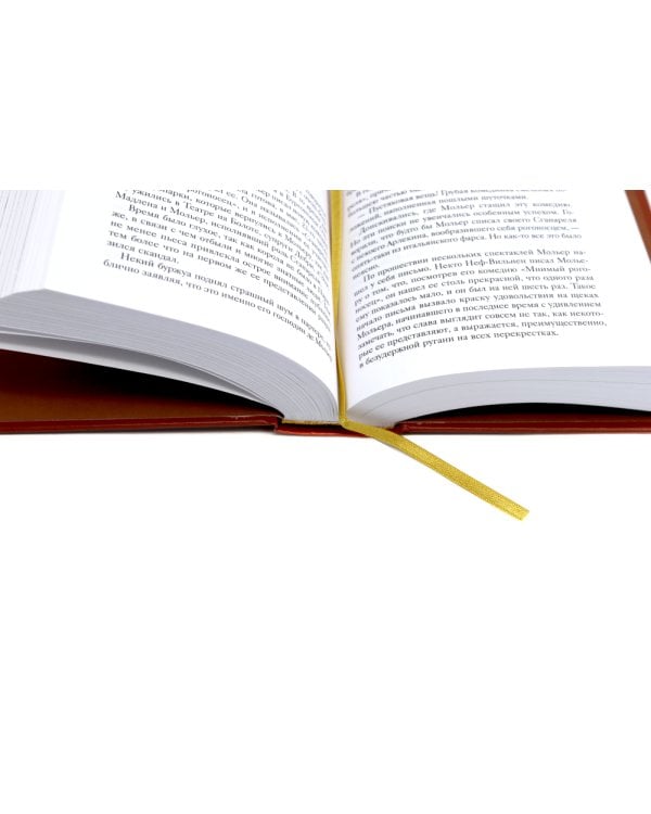 Театральный роман; Под пятой