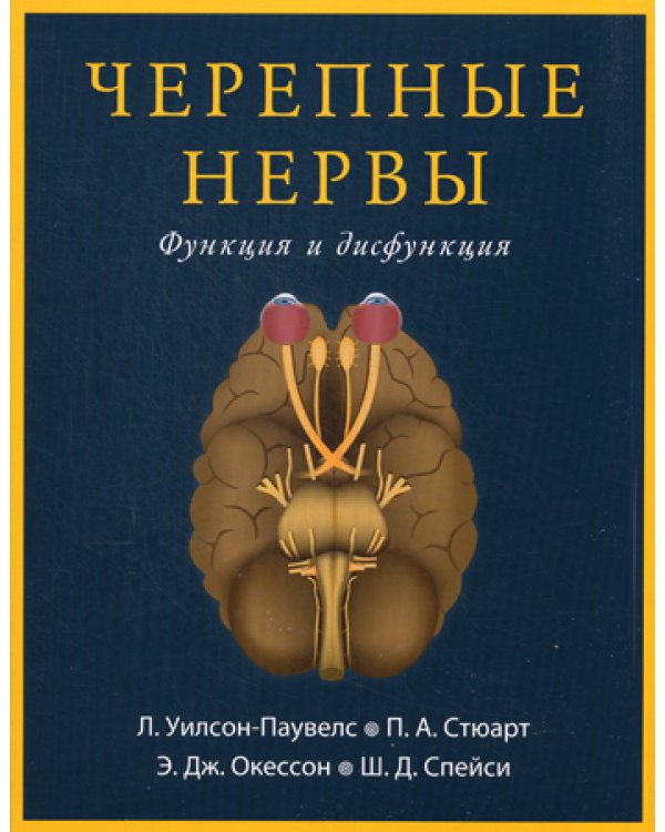 Черепные нервы. Функция и дисфункция