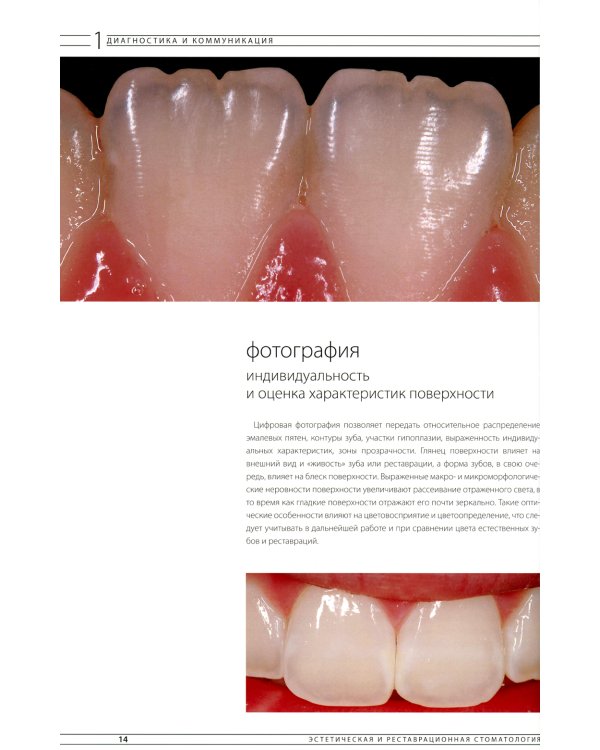 Эстетическая и реставрационная стоматология. Выбор материалов и методов