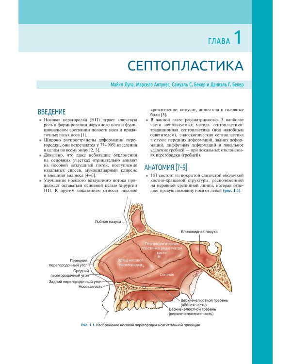 Атлас эндоскопической хирургии околоносовых пазух и основания черепа
