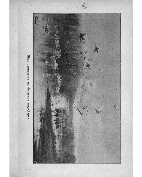 Путешествия по Туркестану Н.А. Северцова и А.П. Федченки